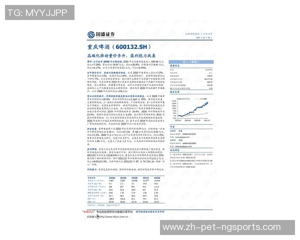 重庆极限运动队协作能力分析与表现评估研究