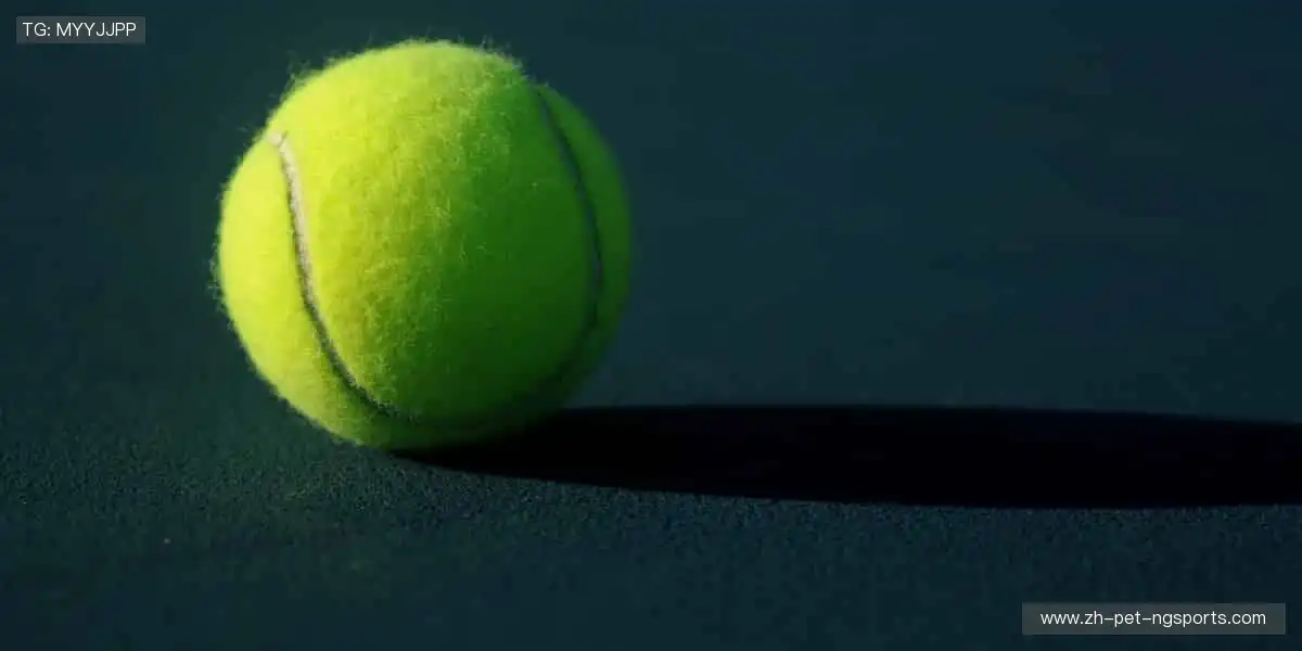 ⚽ 热血赛事，燃爆你的肾上腺素！